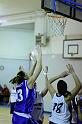 Basket 252038